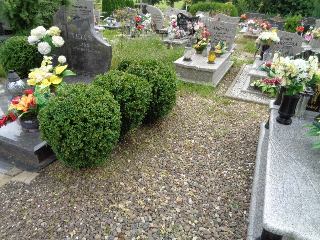 Dariusz Telus 1973 Lubawka - Grobonet - Wyszukiwarka osób pochowanych