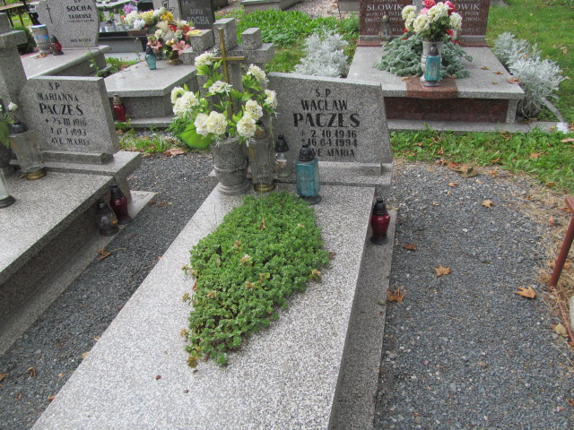 Grób Wacław Pacześ