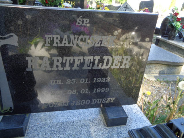 Grób Franciszek  Hartfelder
